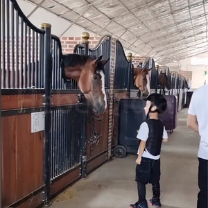 <span class=keywords><strong>Planche</strong></span> extérieure en bambou <span class=keywords><strong>de</strong></span> 10 pieds Équipement pour chevaux Boîte à portes d'écurie Panneaux avant Style australien Boîte d'écurie d'occasion portable à <span class=keywords><strong>vendre</strong></span> - Product Image 5