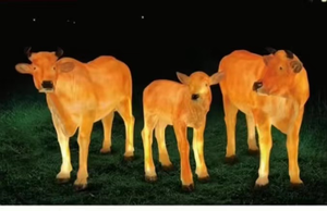 Escultura Luminosa 3D de Buey Amarillo para Jardín, Parque o Paisaje, Fabricada en Resina y Fibra de Vidrio - Product Image 1