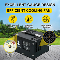 Compresseur d'air PCP TUXING personnalisé avec logo, sans huile, 4500 psi, 300 bar, 30 MPa, 220 V, 12 V CC, gonflage rapide, prise domestique, pour voiture, paintball