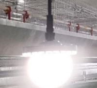 Système de contrôle d'éclairage LED dimmable pour l'élevage de volailles, éclairage d'élevage de poulets, élevage de poulets de chair