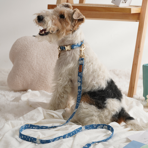 Collier pour chien et chat en coton de qualité supérieure taille M, doux, durable, confortable, élégant, design moderne, réglable, personnalisé - Product Image 5