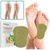 G09 Offre Spéciale : Patchs Détoxifiants Corporels Jetables à l'Armoise Chinoise pour le Corps et les Pieds, Soulagement de la Douleur, Capacité 10ml
