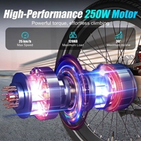 Bicicleta Eléctrica Plegable Smart30 Premium de Una Velocidad con Transmisión por Correa, Sensor de Torque, Batería en el Poste del Asiento, Neumático Kenda de 20 Pulgadas, 36V 250W