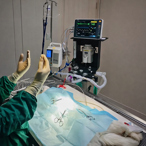 獣医用輸液ポンプ医療用ペットポータブル静脈内容積点滴器犬猫ウサギ獣医クリニック病院用 - Product Image 5