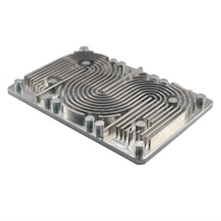 Radiateur de refroidissement liquide pour électronique de puissance IGBT, plaque froide personnalisée en tubes de cuivre