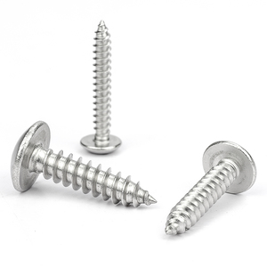 100 piezas/bolsa Tornillos autorroscantes de cabeza cruzada de acero inoxidable 201 M2-M6 métricos - Product Image 4