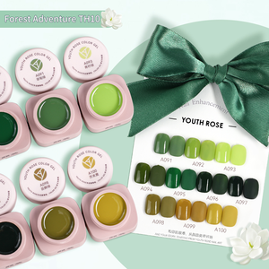 Ensemble de vernis à ongles en gel UV Youth <span class=keywords><strong>Rose</strong></span> 10 couleurs pour salon de manucure professionnel de luxe, distributeur en gros, fournitures de gel à ongles, usine - Product Image 1