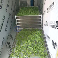 Machine de séchage électrique pour feuilles de basilic, feuilles de manioc, feuilles amères, citrouille, olives, stévia, feuilles de menthe