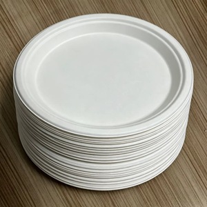 Assiette et plateau de service jetables biodégradables en bagasse de canne à sucre de 9 pouces avec logo personnalisé pour mariage - Product Image 2