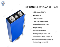 بطاريات TOPBAND الجديدة 3.2 فولت 20 أمبير ساعة LiFePO4 قابلة لإعادة الشحن، خلايا LFP منشورية عميقة الدورة لحزم تخزين الطاقة DIY وعربات الجولف