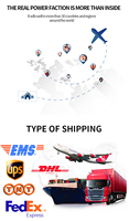 Precio de Fábrica DingLiang Cable de Red Ethernet Cat5e Gris de 0.41mm, UTP, Cobre Libre de Oxígeno, PVC, Conector RJ45, 8 Conductores
