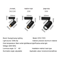 Projecteur LED Moderne 30W sur Rail, Faisceau Concentré COB Unique en Aluminium, Blanc Chaud 2700K pour Magasins et Hôtels, Durée de Vie 50 000 Heures