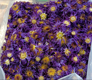 <span class=keywords><strong>Prix</strong></span> de gros <span class=keywords><strong>Lotus</strong></span> bleu égyptien 100% Tisane de couleur naturelle Sain pour fumer Thé en fleurs Fleur de <span class=keywords><strong>Lotus</strong></span> bleu séchée - Product Image 3