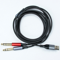 Haute vitesse USB C mâle vers 2 RCA Audio stéréo HiFi qualité sonore câble Aux Type C vers double RCA Y câble répartiteur pour haut-parleur