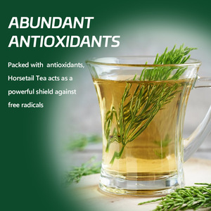 Bolsitas de Té de Hierbas de Cola de Caballo, Diurético Natural, Apoyo Renal, Crecimiento de Cabello, Huesos y Articulaciones, Té Herbal, Marca Privada OEM - Product Image 4