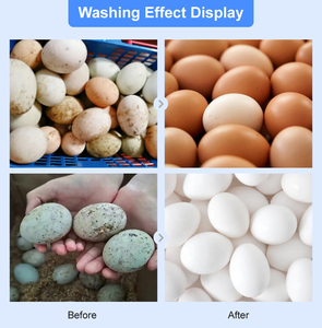 Thương mại tự động làm sạch trứng Máy giặt trang trại sử dụng quy mô lớn sạch ngỗng vịt trứng công nghiệp giá máy giặt - Product Image 6