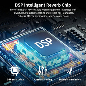 โปรเซสเซอร์เอฟเฟกต์เสียงมินิ DSP ระดับมืออาชีพ 199 รูปแบบเอฟเฟกต์เสียงสะท้อนแบบดิจิตอล สำหรับ<span class=keywords><strong>คาราโอเกะ</strong></span> การบันทึกเสียงสด และระบบเสียงพีเอ - Product Image 3