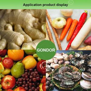 Peladora Industrial de Ñame, Cebolla, Zanahoria, Jengibre y Papa, Máquina para Pelar, Lavar y Limpiar Yuca y Cebolla, <span class=keywords><strong>Precio</strong></span> y Función de Pelado - Product Image 6