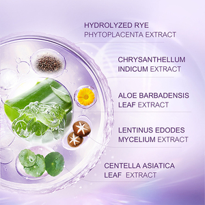 Kit de Soins Anti-Âge et Éclaircissant à l'Acide Kojique pour Marques Privées – Ensemble Nettoyant, Crème et Sérum Anti-Taches - Product Image 4