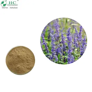 100% Pure Sage Extract Salvia Officinalis Extract Sage Extract Powder 10:1