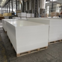 Panneau en mousse PVC facile à découper et à percer pour la production d'armoires