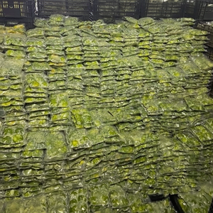 Aguacate congelador, aguacate, fruta Tropical, aguacate, vacaciones, gran oferta - Product Image 1