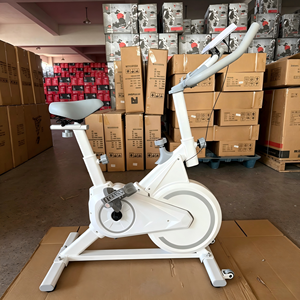 Bicicleta Estática XOYOOU de Nuevo Diseño, Precio Económico, Gran Venta, Bicicleta de Ejercicio para Interiores, Plegable, con Pantalla LCD, de Acero - Product Image 4