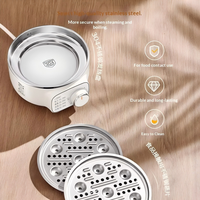 Cuiseur à œufs électrique automatique en acier inoxydable 304, double couche, arrêt automatique, minuterie 30 minutes, compact, pour petit-déjeuner domestique