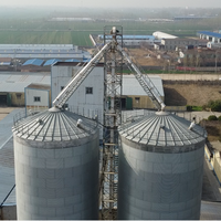 Silos per Cereali a Prezzo di Fabbrica in Acciaio Zincato a Caldo con Cono a Tramoggia per Stoccaggio di Cereali Sfusi e Chicchi di Caffè