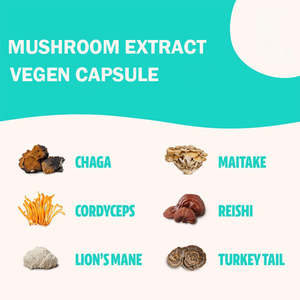 Vente en gros de poudre d'extrait de champignon Tremella Capsule de champignon Tremella Capsules d'extrait de champignon Tremella - Product Image 4