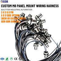 Arnés de Cableado Personalizado M12 de Cobre para Montaje en Panel con Soporte FPC, Clasificación 10A para Equipos de Control PLC y Sensores de Automatización Industrial
