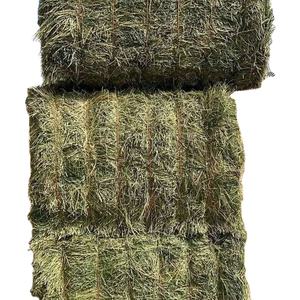 Productos frescos, heno de alfalfa para alimentación de animales de ganado, pacas de alta calidad, marca Harlem - Product Image 1