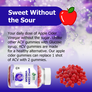 Gummies au vinaigre de cidre de pomme pour la santé, 60 unités, sans sucre, soutien digestif, complément alimentaire avec AV Gummies – Meilleures ventes - Product Image 4