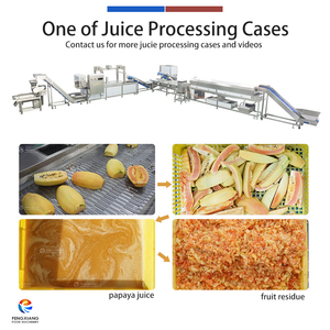 Commercial Pineapple <b>Juice</b> Processing Line Pineapple Washing Peeling and <b>Juice</b> <b>Squeezer</b> Machine - Product Image 4