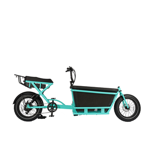 <span class=keywords><strong>Meilleur</strong></span> <span class=keywords><strong>vélo</strong></span> <span class=keywords><strong>cargo</strong></span> <span class=keywords><strong>vélo</strong></span> Offre Spéciale, ebike vélos <span class=keywords><strong>2022</strong></span> <span class=keywords><strong>vélo</strong></span> <span class=keywords><strong>cargo</strong></span>, gros pneu <span class=keywords><strong>vélo</strong></span> pas cher - Product Image 2