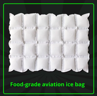 Thermafreze réutilisable Hot Cold Pack Refroidisseurs plats flexibles pour boîtes à lunch Idéal pour le dos