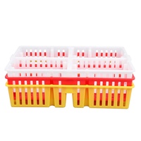 Boîte de transport pour poussins en plastique à grande capacité pouvant contenir 100 poussins, ventilation croisée, avec 4 compartiments