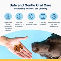 Golosinas Dentales Blandas para Perros de Marca Privada, Control de Placa y Sarro, Cuidado Bucal, Vitaminas y Minerales, 2G/unidad, Aliento Fresco, OEM ODM