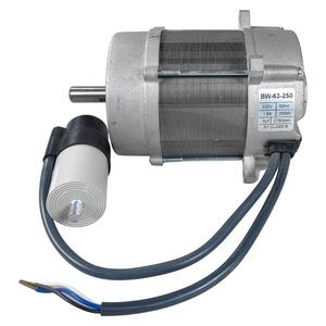 Moteur de ventilateur industriel Riello BS2 BS3 BS4 BS5D RS5 RS5D pour brûleur 250W/220V - Product Image 1