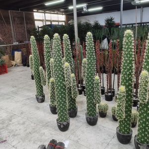 Arbre artificiel en cactus de style nordique moderne, bonsaï en plastique, plantes artificielles pour la décoration de la maison, du salon et du jardin - Product Image 5