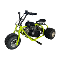Mini-trike rétro tout-terrain 212CC personnalisé en gros, mini-moto à quatre temps, essence, tout-terrain, kart à dérive pour adultes