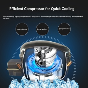 Congelatore Commerciale a 4 Porte Senza Sbrinamento per Esposizione <span class=keywords><strong>di</strong></span> <span class=keywords><strong>Frutti</strong></span> <span class=keywords><strong>di</strong></span> <span class=keywords><strong>Mare</strong></span>, Alimenti Refrigerati, Frutta e Pesce - Product Image 3