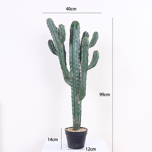 Planta Artificial de <span class=keywords><strong>Cactus</strong></span> de Plástico, Planta Decorativa para Jardín, Adorno para Decoración de Interiores de Oficina, Plantas Artificiales - Product Image 1