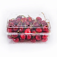 Récipient à salade de fruits en plastique alimentaire OEM PET jetable de haute qualité chinois