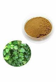Poudre d'extrait de Cissus Quadrangularis naturel jaune de haute qualité, extraite par solvant, qualité alimentaire, d'Inde, vente en gros, best-seller - Product Image 3
