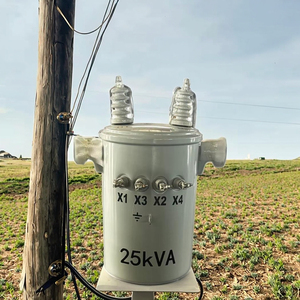 조정 가능한 출력 480 있는 단상 10Kva-25Kva 오일 침지 원통형 변압기 v/440v 입력 6kv 극 장착 - Product Image 3