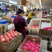 Chinese verse rode Fuji Gala groene gele Huaniu appels, hoge kwaliteit appels groothandel Manzana Pomme Apel Segar Ringo aanbieding