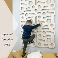 Cadre d'escalade intérieur en bois mur Montessori échelle murale enfant en bas âge grimpeur panneau jeu actif Gym pour enfants de 2 à 10 ans