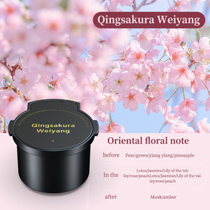 Diffuseur d'air en métal et plastique, parfum nuageux, décoration d'intérieur, aromathérapie, parfum, pulvérisation automatique start-stop - Product Image 6