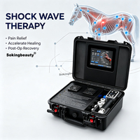 Appareil de thérapie par ondes de choc pour équidés, portable, en valise, pour la récupération musculaire des chevaux